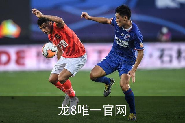 龙8唯一官网公司简介图片